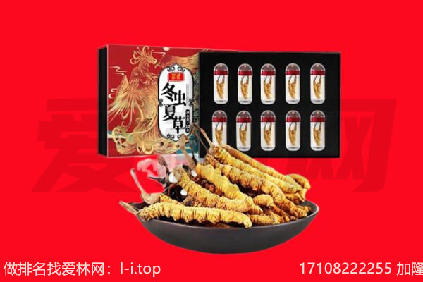 山阳县回收虫草.jpg